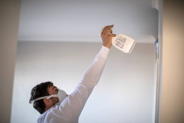 Best Attic Mold Remediation in Jarrettsville, MD