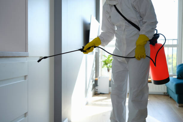 Best Commercial Mold Remediation in Jarrettsville, MD